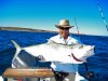 Arm Stretching Trevally